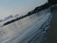 Air Laut di Pantai Melayu Tercemar Tumpahan Minyak Hitam