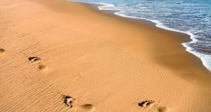 Ekspor Pasir Laut Bisa Jadi Masalah Hukum, Hati-Hati Dipanggil APH Ekspor Pasir Bisa Jadi Masalah Hukum, Hati-Hati Dipanggil APH