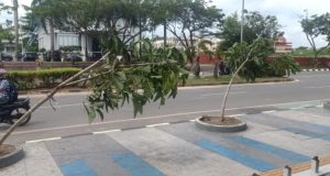 Tanaman di Pedestrian Batam Center Rusak, BP Batam Ajak Masyarakat Menjaga Fasilitas Umum