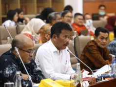 BP Batam Hadiri RDP DPR RI, Bahas Pengembangan Rempang Eco-City