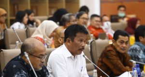 BP Batam Hadiri RDP DPR RI, Bahas Pengembangan Rempang Eco-City