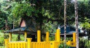 Ombudsman RI Tegaskan Pemerintah Harus Prioritaskan Kepentingan Masyarakat daripada Percepatan Pembangunan