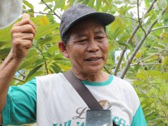 Rempang Eco-City Bakal Jadi Momentum Kebangkitan Ekonomi