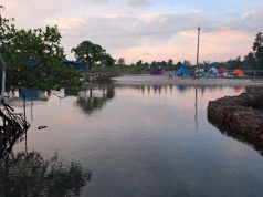 Rempang Eco City Langkah Nyata Pemerintah Perkuat Hilirisasi SDA di Tanah Air