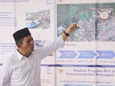 Perkuat Konektivitas Wilayah Kepri, Lima Pelabuhan Tuntas di Akhir Tahun 2023
