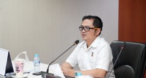 Bahas Pengembangan KEK dan Rempang Eco-City, Ketersediaan Energi Listrik Jadi Atensi BP Batam