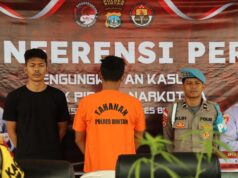 Bermula dari Bertanam Pohon Ganja, Pemuda ini Dibekuk Polisi