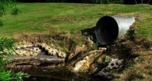 Polda Kepri Selidiki PT BSSTEC terkait Dugaan Tak Kantongi Izin