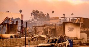 Kebakaran Hutan yang Melanda Los Angeles, Kerugian Diperkirakan Mencapai Rp. 2.121 Triliun