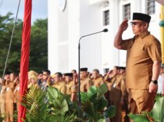 Memulai Tugas Perdana, Wagub Kepri Nyanyang Harris Pratamura Pimpin Apel