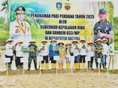 Perdana Lakukan Penanaman Padi di Natuna, Pemprov Kepri Perkuat Ketahanan Pangan