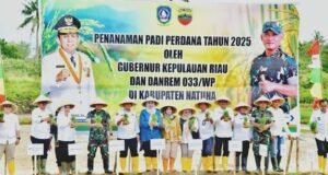 Perdana Lakukan Penanaman Padi di Natuna, Pemprov Kepri Perkuat Ketahanan Pangan