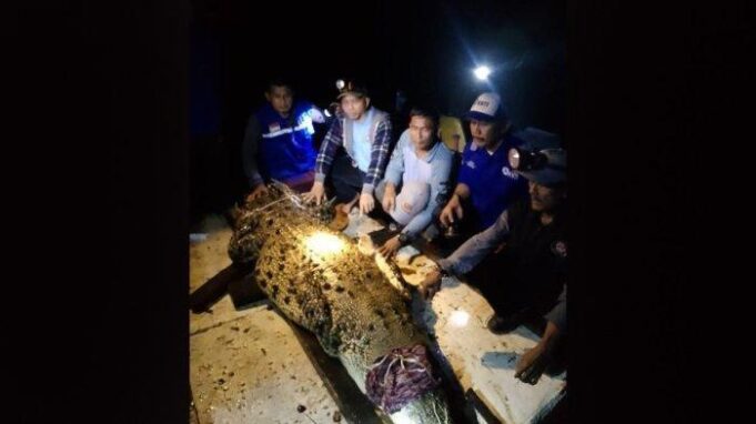 Keresahan Warga Pasca Jebolnya Pagar Kandang Buaya di Batam