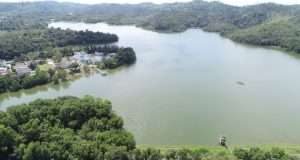 Kementrian Bakal Evaluasi Penangkaran Buaya di Tujuh Tempat