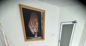 411 Peserta Ambil Bagian dalam Seminar Uji Kompetensi IMI 2025