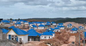 Masuk RPJMN 2025-2029, BP Batam Paparkan Status Proyek Rempang Eco-City