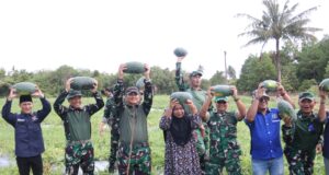 Pangkogabwilhan I dan PWI Kepri Sukses Panen Raya Semangka di Bintan