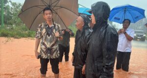 Deputi VII BP Batam Ajak Masyarakat dan Pengembang Cegah Sedimentasi