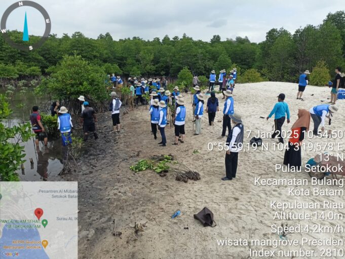 Dari Negeri Ginseng ke Tanah Setokok Batam: Menanam Cinta di Ekowisata Mangrove Presiden