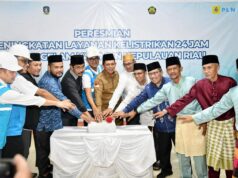 Gubernur Ansar Resmikan Listrik 24 Jam untuk Pulau Parit, Karimun
