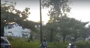 Kerusakan Jalan S Parman, Pemerintah Tambal Lubang Jalan