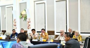 Harga Gas Jadi Sorotan, PLN Batam Audiensi dengan Menteri ESDM