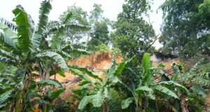 Anggota/Deputi Bidang Infrastruktur Tinjau Titik Longsor di Kec. Bengkong