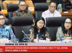 Alasan DPR Tegas Usir Perusahaan Alumina China dari Ruang Rapat