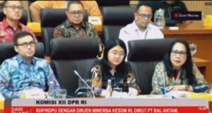 Alasan DPR Tegas Usir Perusahaan Alumina China dari Ruang Rapat