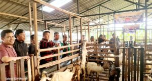 IKPK Kota Batam Siap Sembelih 7 Hewan Qurban pada Idul Adha 1446 H