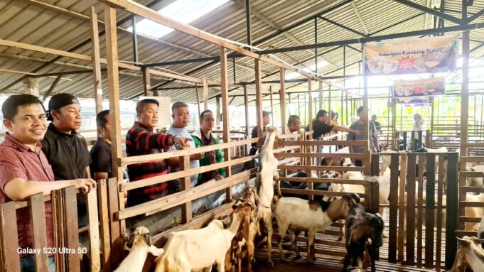 IKPK Kota Batam Siap Sembelih 7 Hewan Qurban pada Idul Adha 1446 H