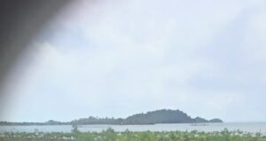 Peringati Hari Lingkungan Hidup Sedunia, PLH K Kepri Serukan Pengembang Perhatikan Keberlangsungan Lingkungan Pesisir Batam