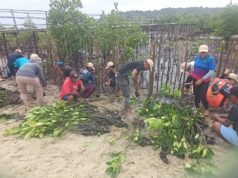 Krisis Mangrove di Pesisir Batam dan Kepri, PLHK Serukan Aksi Nyata