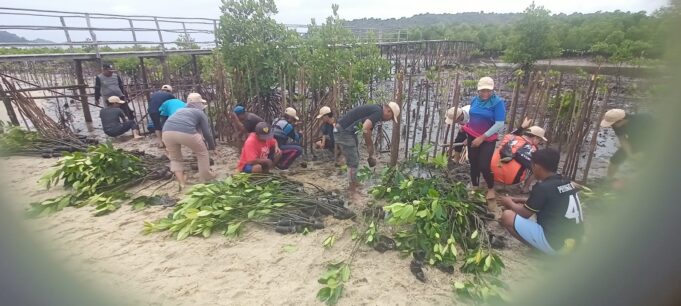 Krisis Mangrove di Pesisir Batam dan Kepri, PLHK Serukan Aksi Nyata