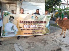 Iman Sutiawan Serahkan 28 Ekor Hewan Kurban di Kepri