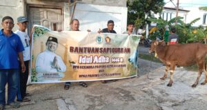 Iman Sutiawan Serahkan 28 Ekor Hewan Kurban di Kepri