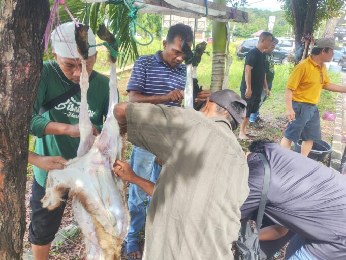 PWI Kota Batam Sembelih 3 Hewan Qurban