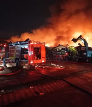 Tinjau Lokasi Kebakaran di KPLI Kabil, BP Batam Pastikan Tidak Ada Korban Jiwa