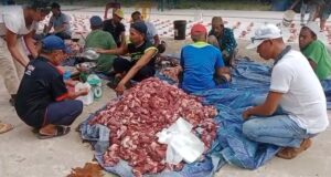 Masjid Baitul Muttaqien Kavling Pancur Sembelih 14 Hewan Qurban pada Iduladha 1446 H