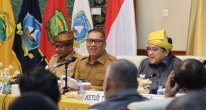 Wagub Nyanyang Sambut Komisi II DPR RI, Harap Keppres FTZ Batam-Bintan-Karimun Segera Disahkan