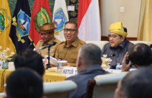 Wagub Nyanyang Sambut Komisi II DPR RI, Harap Keppres FTZ Batam-Bintan-Karimun Segera Disahkan