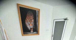 Ketum KONI Kepri Apresiasi Erick Thohir demi Olahraga Indonesia Maju