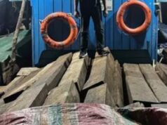 Ratusan Balok Kayu Olahan Diamankan, KM AAL Delima Terjaring Operasi Yudhistira-II/25