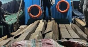 Ratusan Balok Kayu Olahan Diamankan, KM AAL Delima Terjaring Operasi Yudhistira-II/25