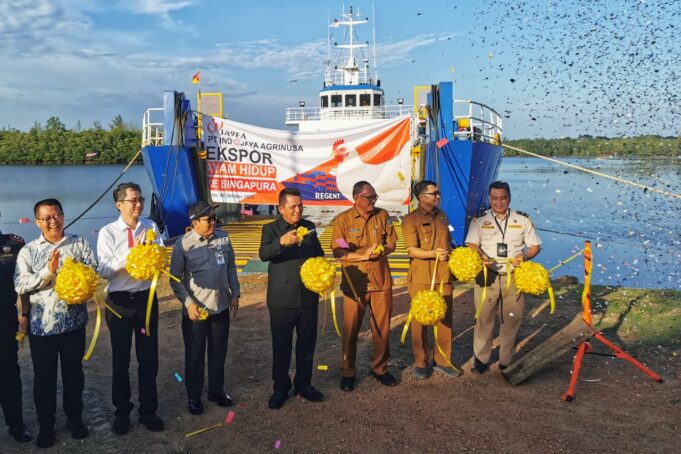 Gubernur Ansar Lepas Ekspor Perdana Ayam Hidup ke Singapura