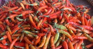 Harga Cabai di Batam Tembus Rp 110 Ribu! Dipengaruhi Biaya Transportasi