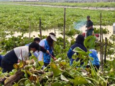 Aksi Bersih Waduk Duriangkang, BP Batam Ajak Warga Jaga Sumber Air Kota