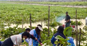 Aksi Bersih Waduk Duriangkang, BP Batam Ajak Warga Jaga Sumber Air Kota