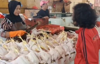 Harga Ayam Potong Tembus Rp47 Ribu per Kg, Naik Jelang Tahun Baru