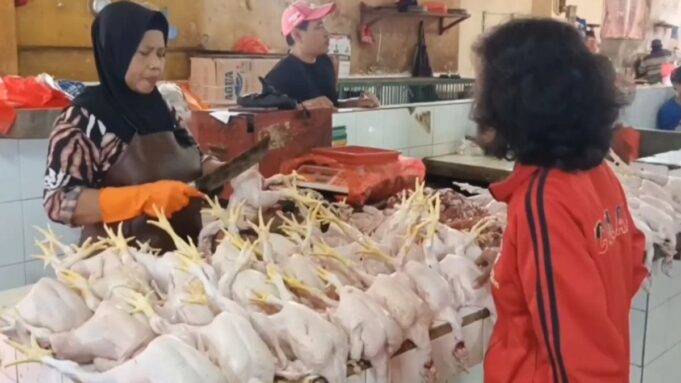 Harga Ayam Potong Tembus Rp47 Ribu per Kg, Naik Jelang Tahun Baru